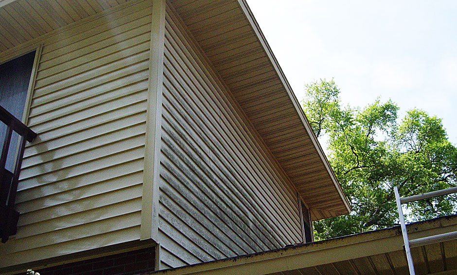 Vinyl Siding Wash, Before